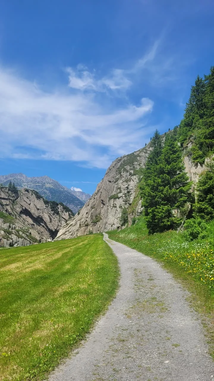 The gravel walking path through the Schöllenen Gorge — green meadow on one side, cliff and evergreen trees on the other, blue sky overhead