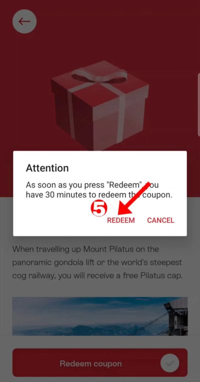 Step 5 — A timer warning pops up. Tap REDEEM to confirm — your 30 minutes start now