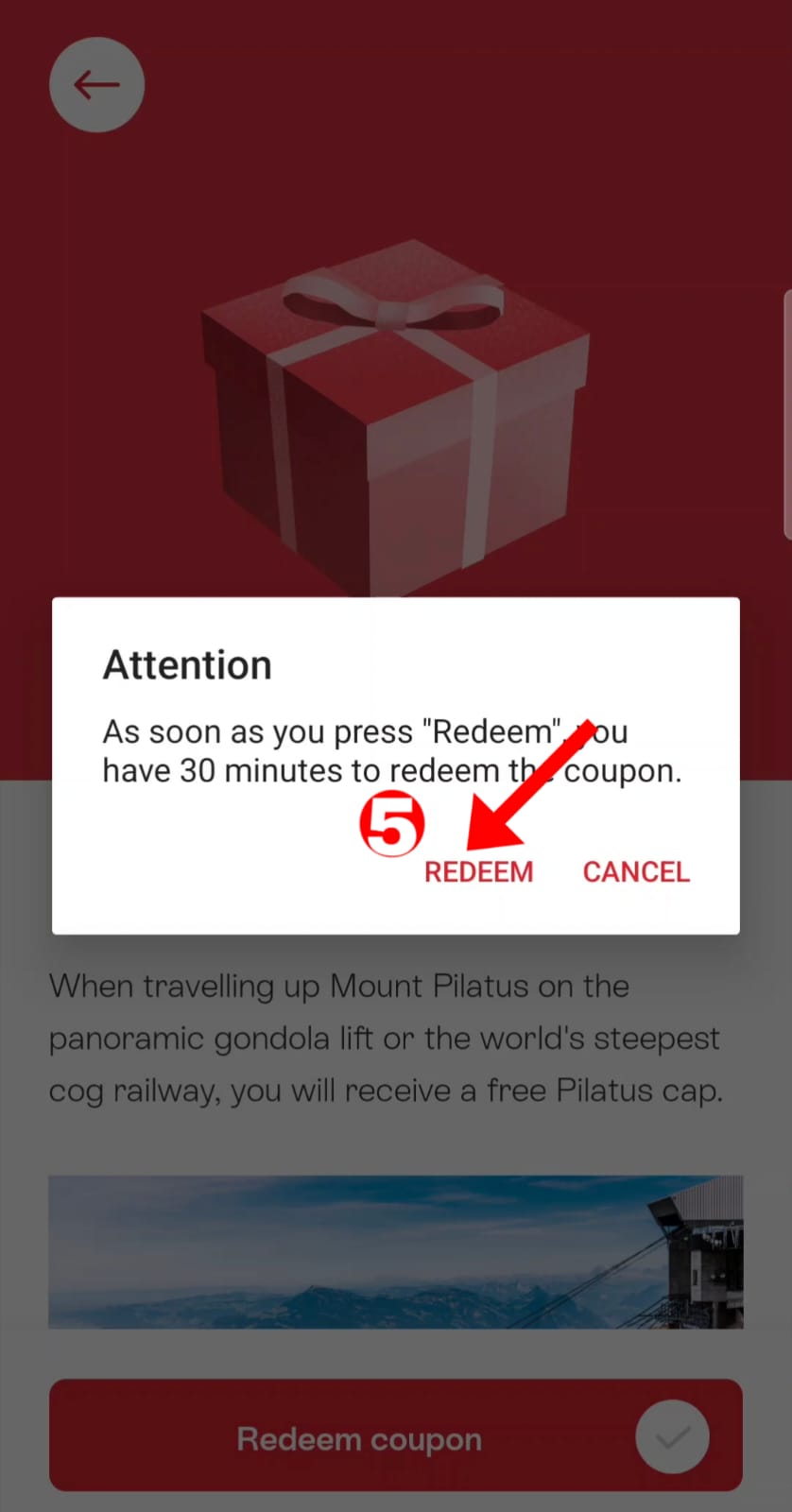 Step 5 — A timer warning pops up. Tap REDEEM to confirm — your 30 minutes start now